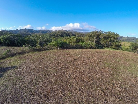 Kikala Road, Unit 4 Kalaheo, HI 96741 - Photo 8 of 11 Gallery Image 8