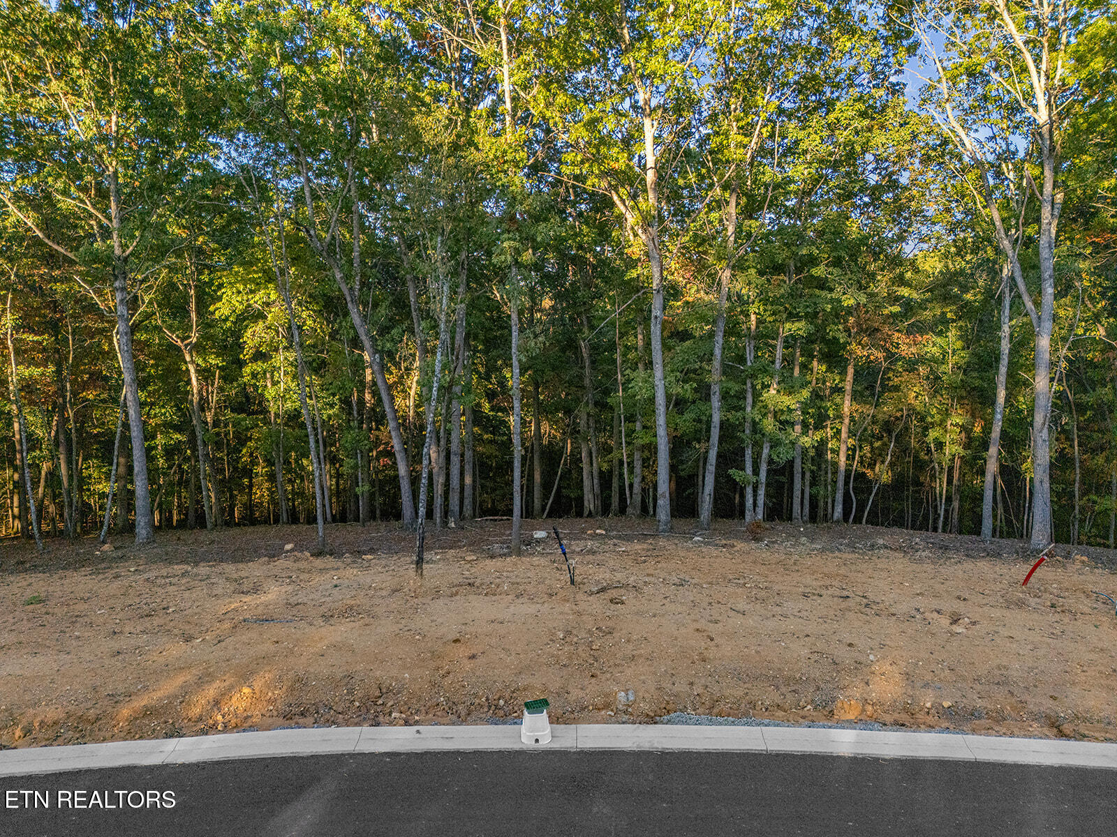 227 Flip Flop Way Loudon, TN 37774 - Photo 17 of 27 DJI_20251016204759_0789_D