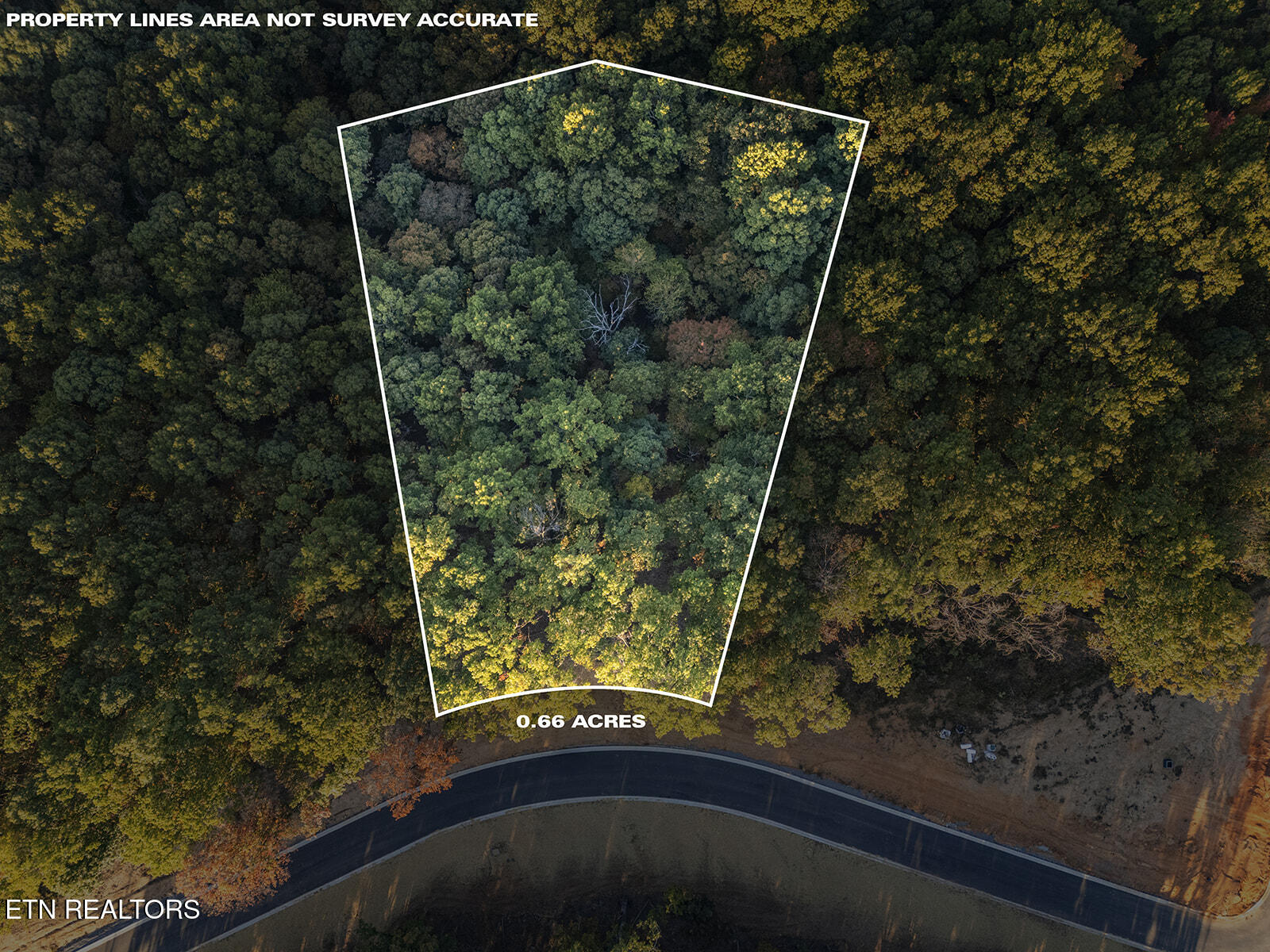 227 Flip Flop Way Loudon, TN 37774 - Photo 3 of 27 1