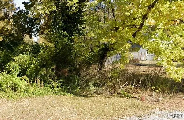 $11,000 | 4913 North Park Drive, East St. Louis, IL 62204