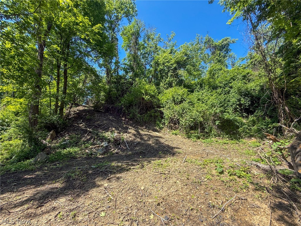 Lot 3 Altamont Road Mingo Junction, OH 43938 - Photo 23 of 32 Gallery Image 23