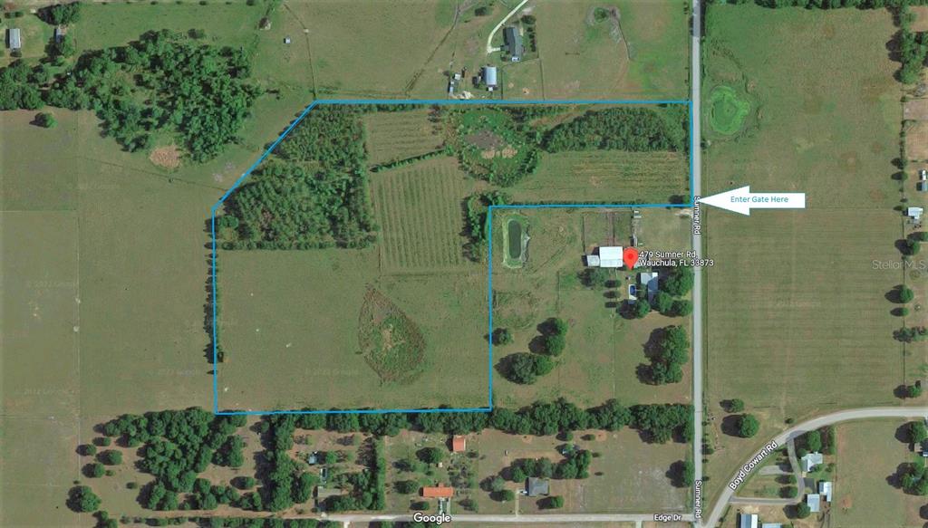 Google Satellite View