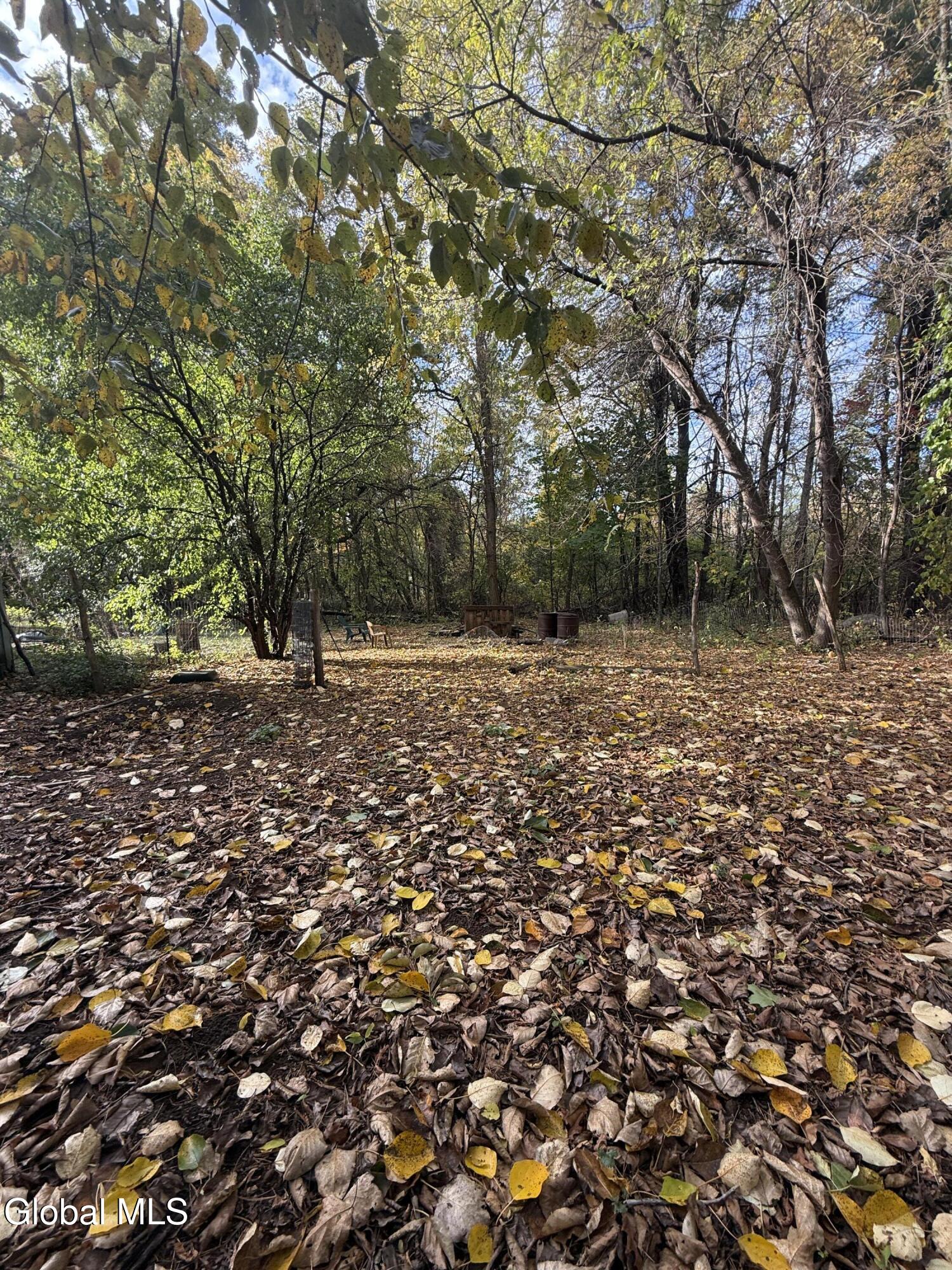 616 Port Douglas Road Keeseville, NY 12944 - Photo 17 of 20 IMG_9573