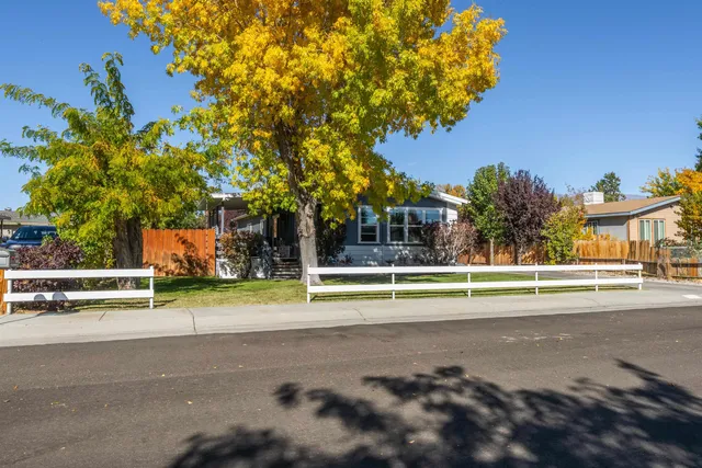 a view of road with grass and trees