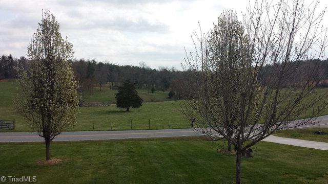 2335 Boiling Springs Road Purlear, NC 28665 - Photo 14 of 15 View