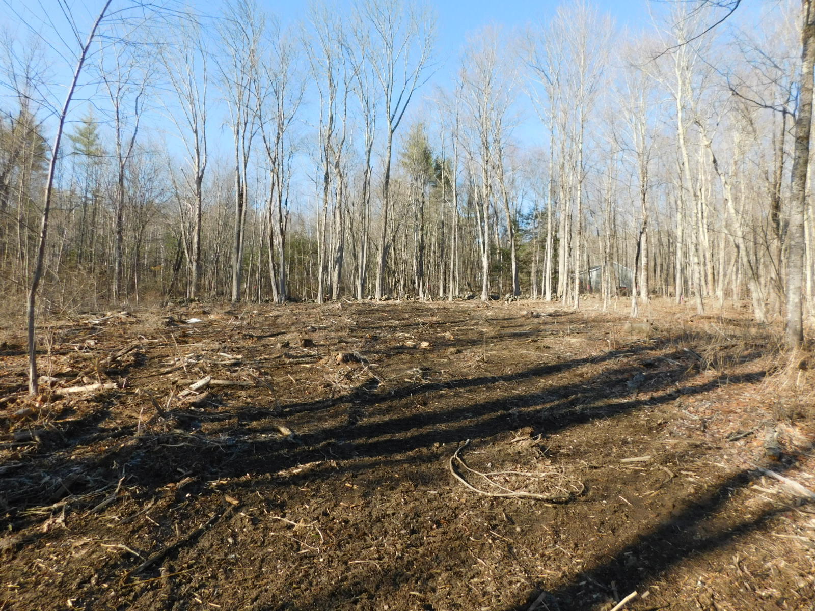 0 Shapleigh Road Lebanon, ME 04027 - Photo 2 of 2 DSCN0715