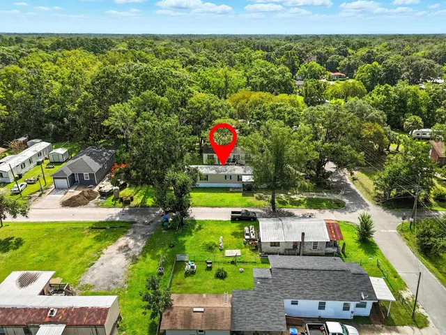 a close up of a plant