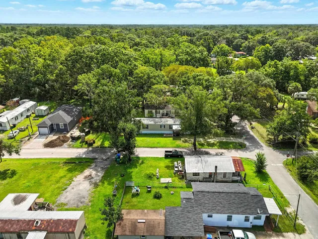 a view of a lush green field with plants in the background