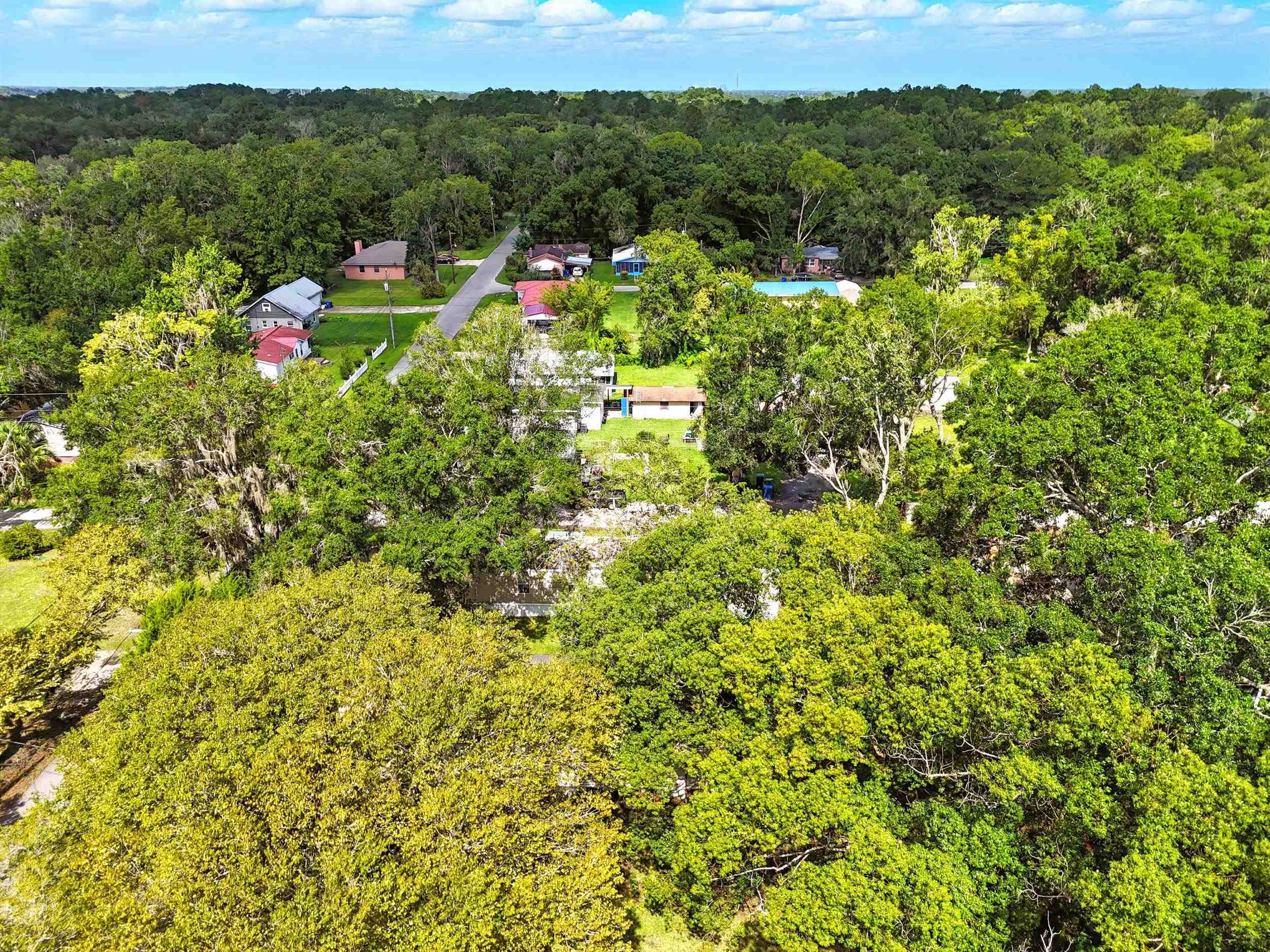 300 East Carter Street Hastings, FL 32145 - Photo 34 of 41 a view of a lush green field with plants in the background