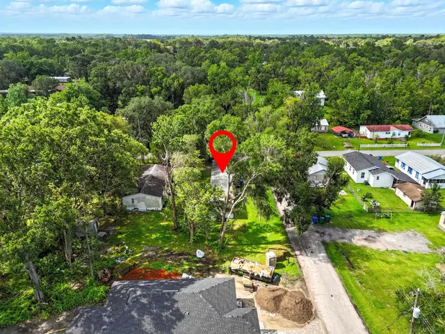 a view of a flower in a garden