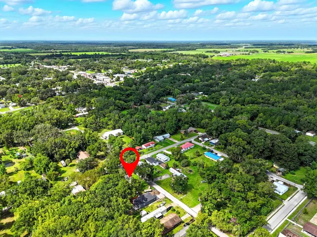 a view of a yard with an plants and tree