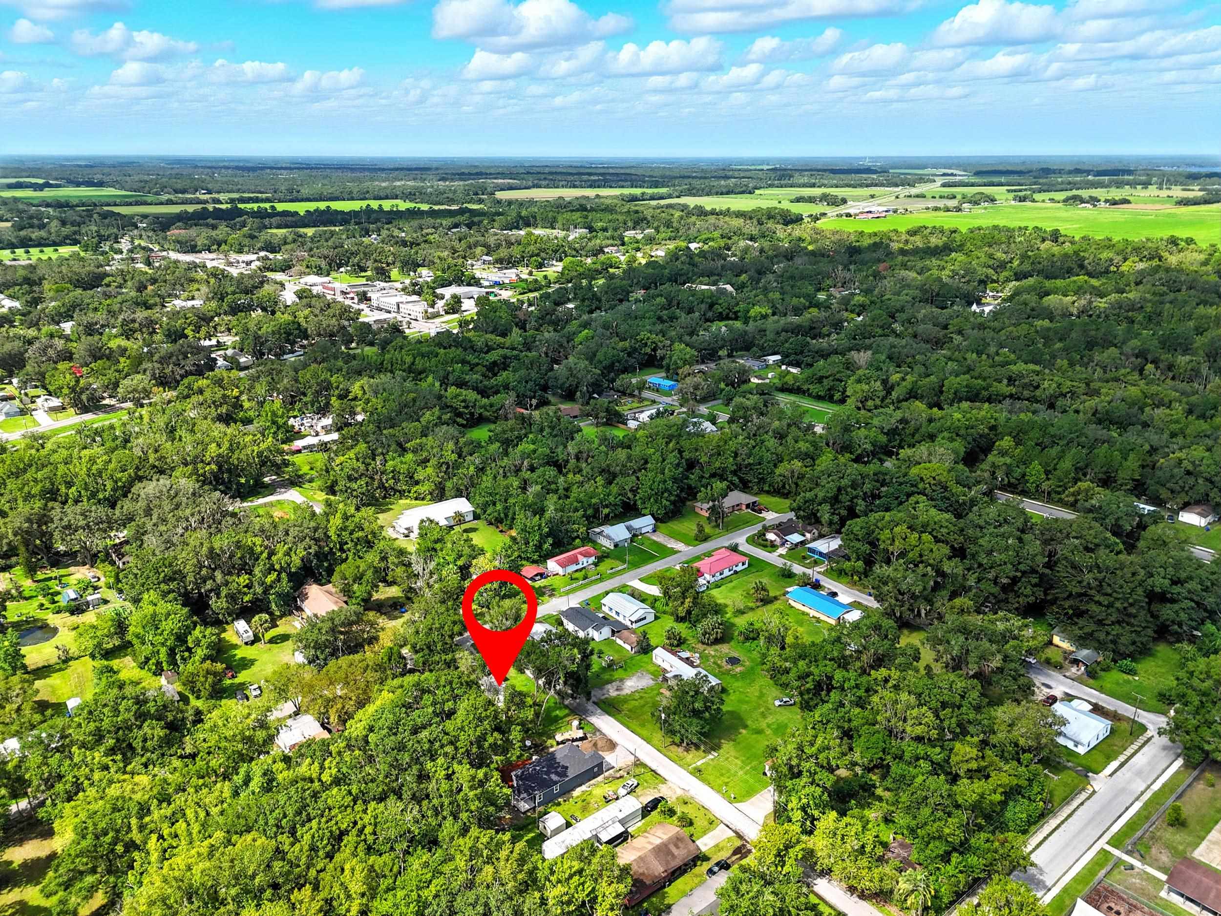 300 East Carter Street Hastings, FL 32145 - Photo 37 of 41 a view of a flower in a garden