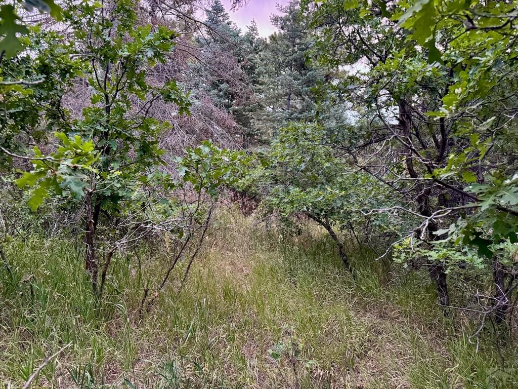 6-7 Robin Hood Trail Rye, CO 81069 - Photo 3 of 15
