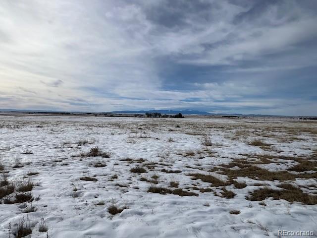 27040 Little Springs Road Calhan, CO 80808 - Photo 2 of 13 a view of a dry yard