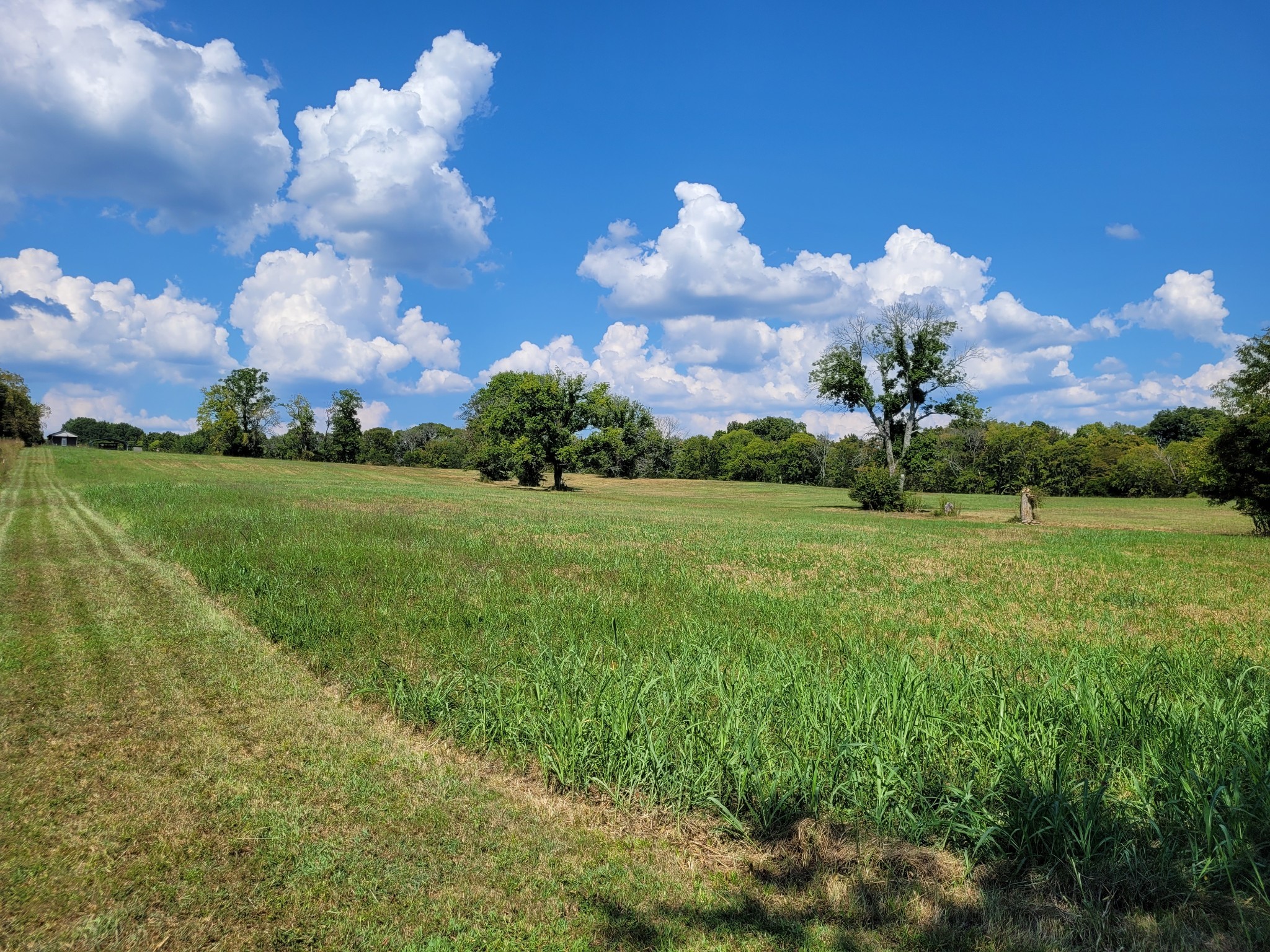 1289 Old Hopewell Road Bethpage, TN 37022 - Photo 17 of 42 Gallery Image 17