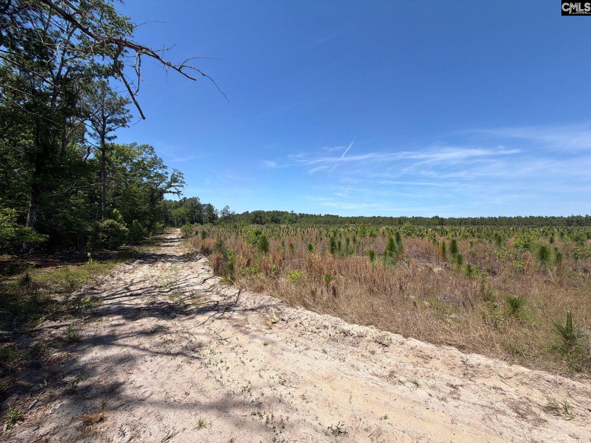 1 Holstein Road Monetta, SC 29105 - Photo 32 of 36