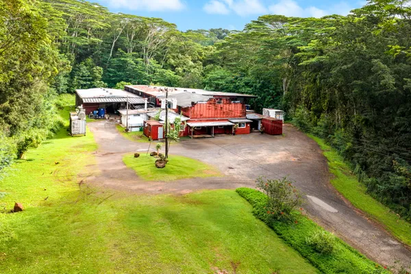 a view of backyard and wooden fence
