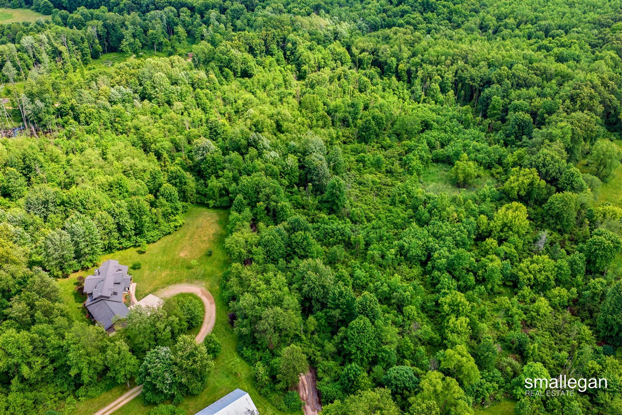 10156 Love Road Bellevue, MI 49021 - Photo 75 of 98