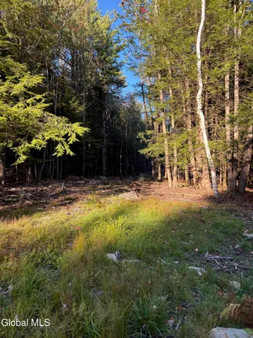 $79,900 | L1.112 Kipple Road, Sand Lake, NY 12153