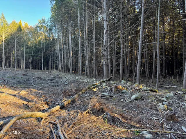 $79,900 | L1.112 Kipple Road, Sand Lake, NY 12153