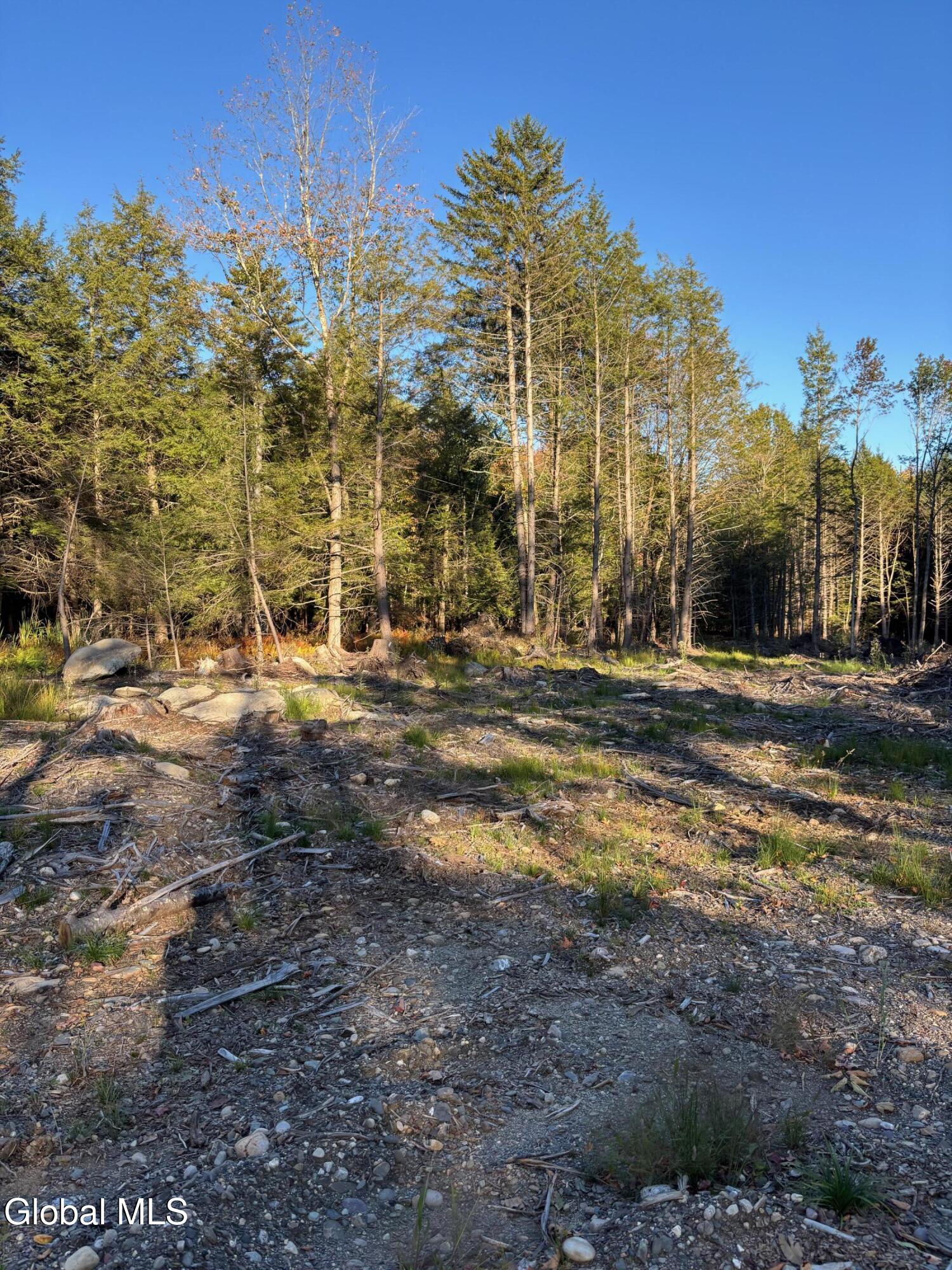 L1.112 Kipple Road Sand Lake, NY 12153 - Photo 9 of 9 IMG_2138