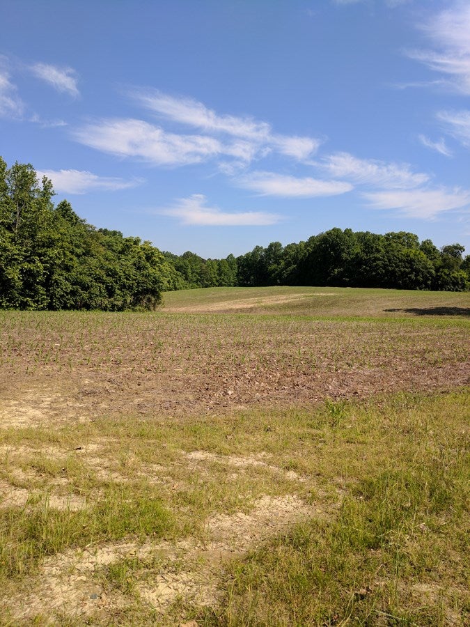 3486 West Court House Road Crewe, VA 23930 - Photo 2 of 13 Gallery Image 2