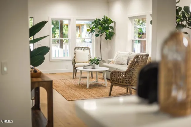 a living room with furniture a potted plant and a large window