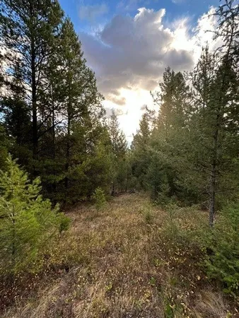 $320,000 | Lot 10 Black Pine Meadows, Philipsburg, MT 59858