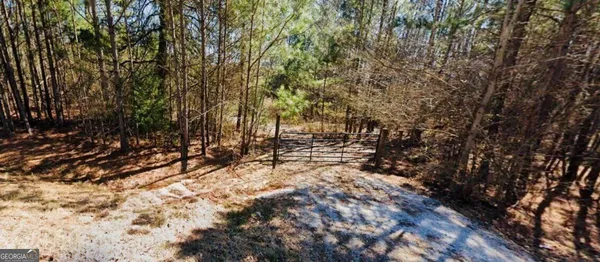 a view of tree covered with snow