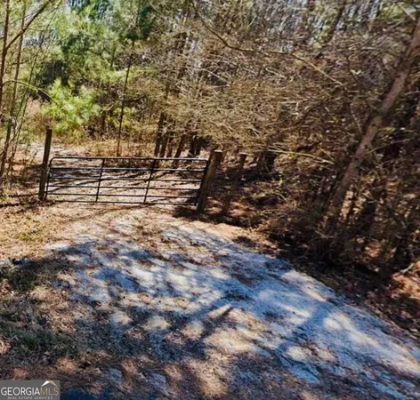 a view of a yard with trees