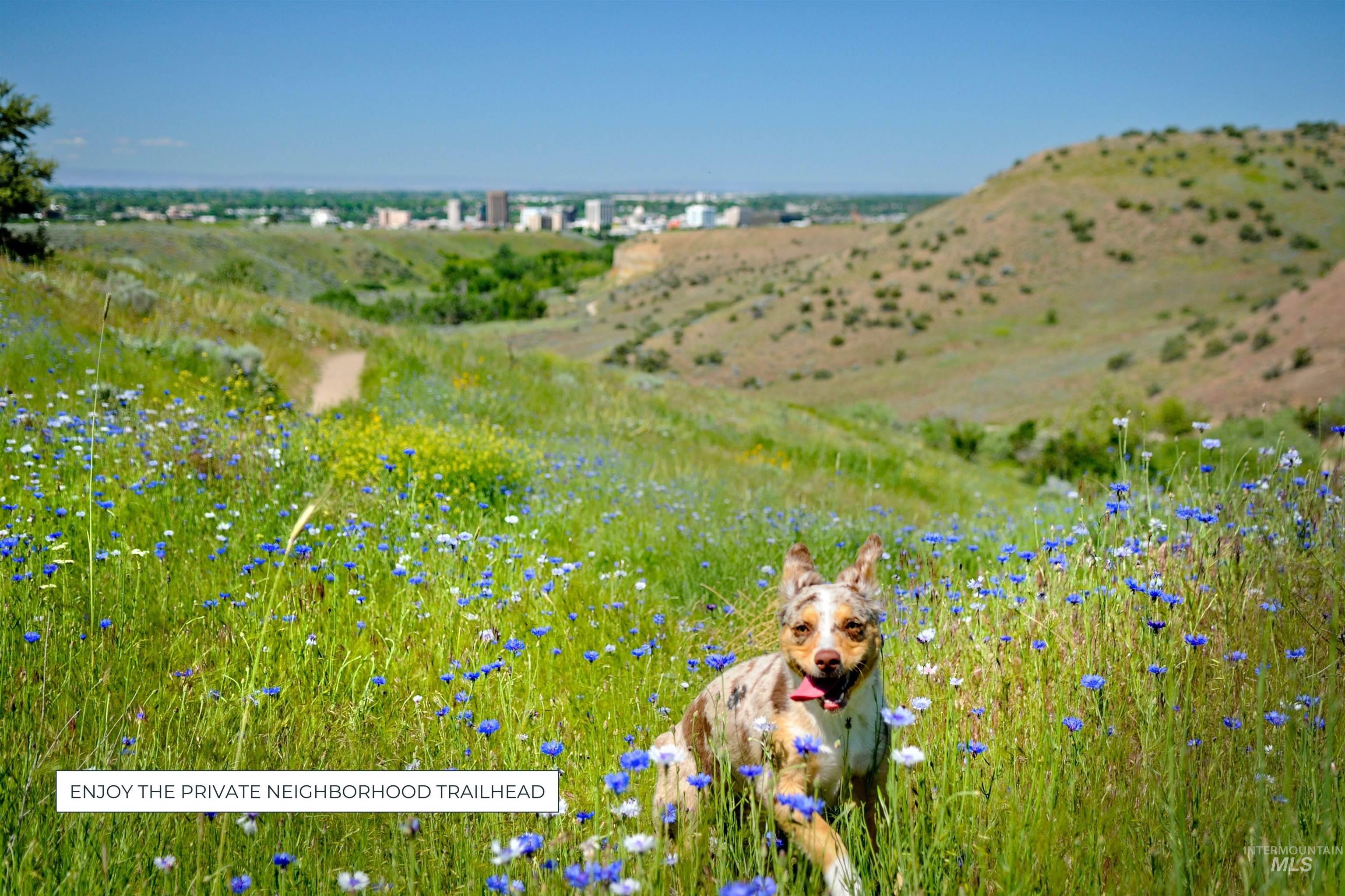 1903 South Meteor Way Boise, ID 83712 - Photo 45 of 50
