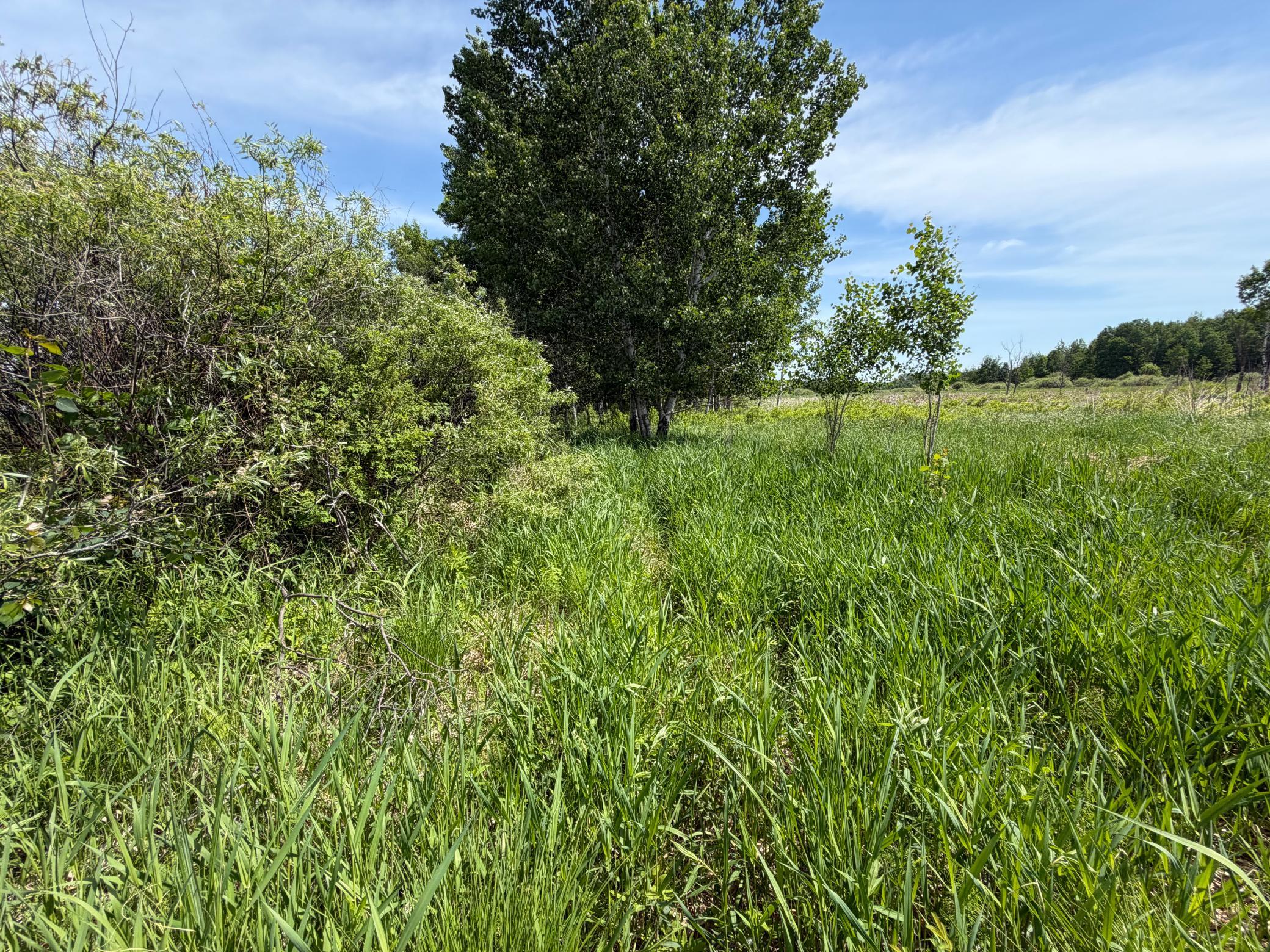 Tbd-b 180th Street Milaca, MN 56353 - Photo 11 of 80