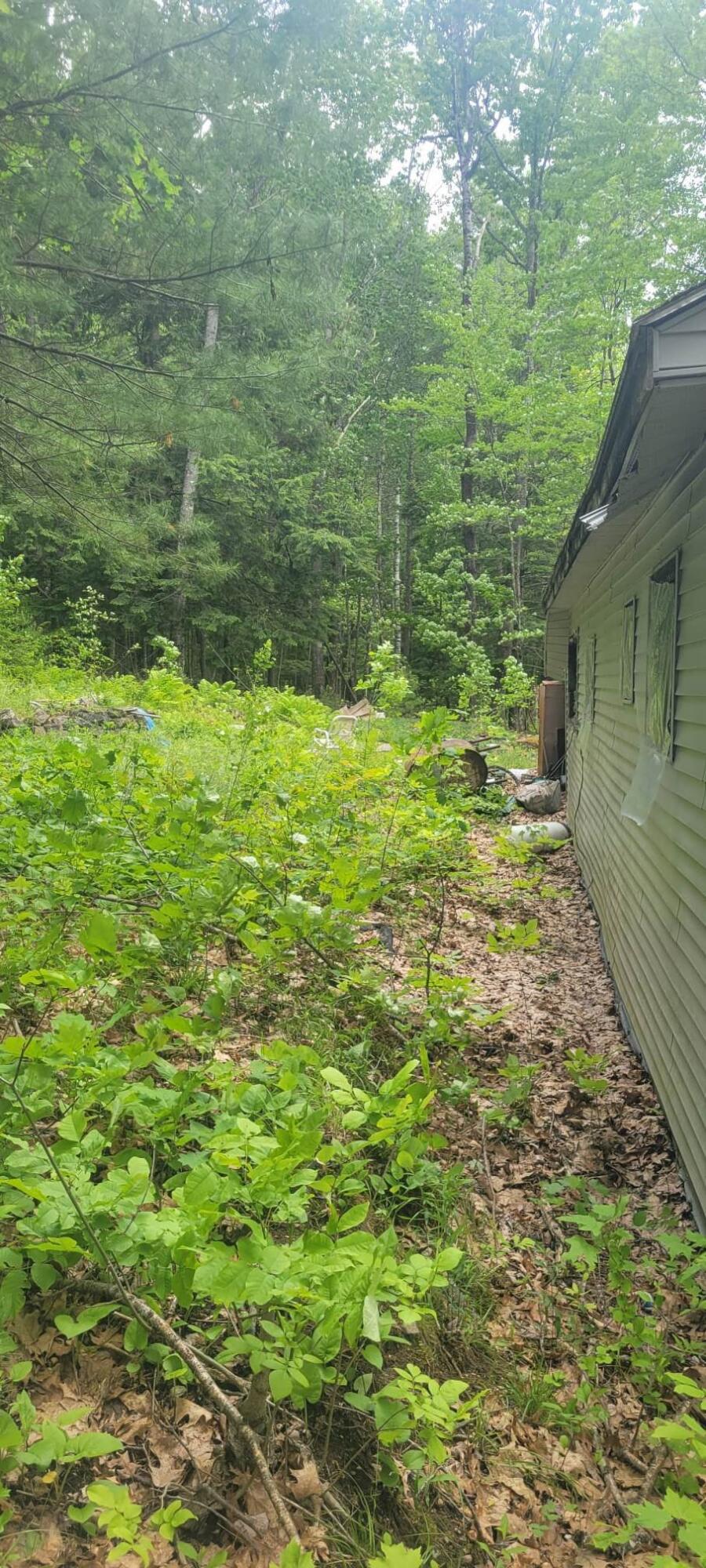 55 Old Whitney Road Harrison, ME 04040 - Photo 15 of 18 348367014_610001557791850_16485343865882
