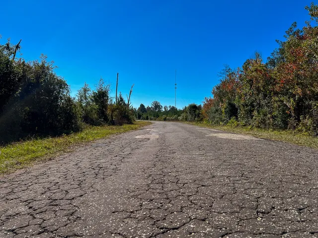 a view of a field with trees in background