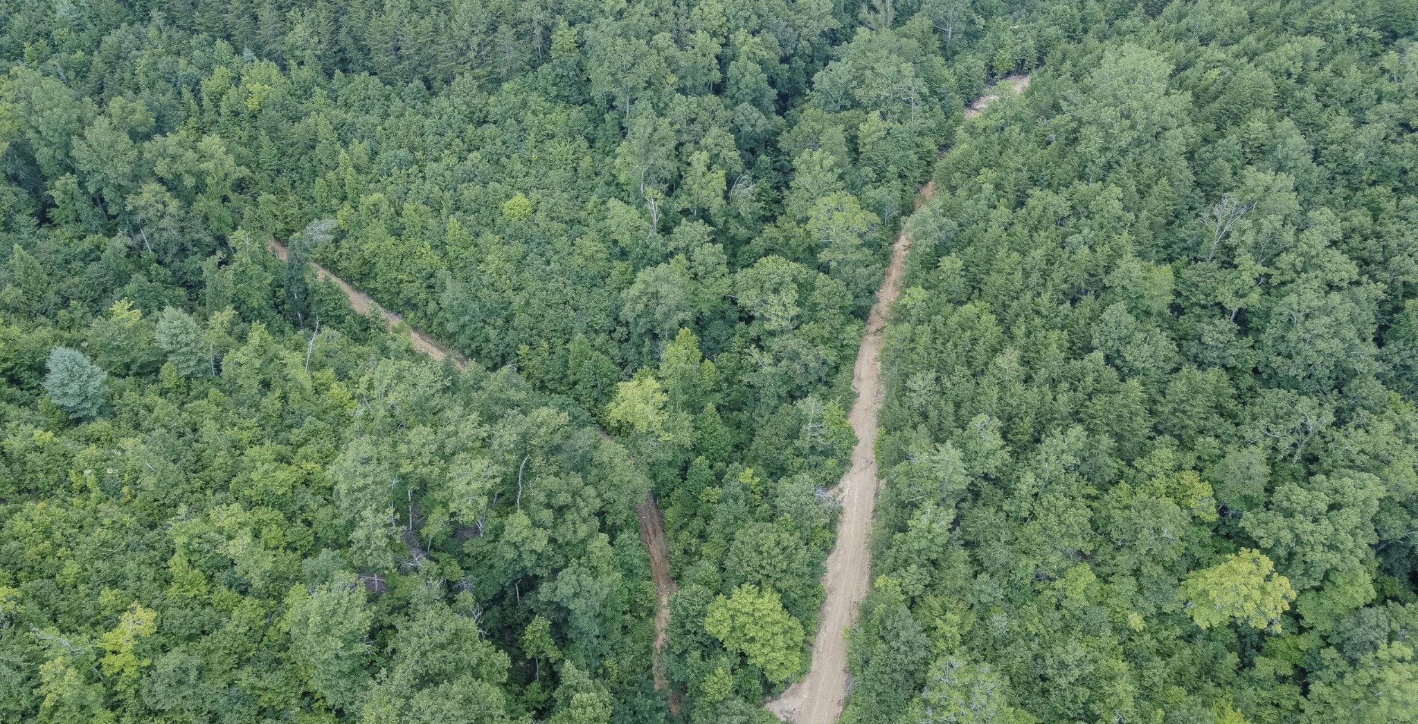 0 Hurricane Valley Road Ten Mile, TN 37880 - Photo 1 of 2 Gallery Image 1