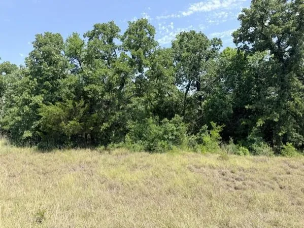$50,000 | Tbd Creekside Drive, Bowie, TX 76230