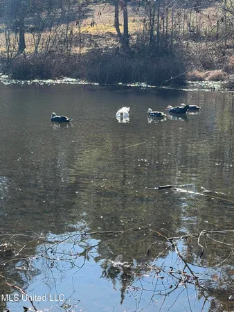 $109,900 | 3760 A County Road 424, Ripley, MS 38663