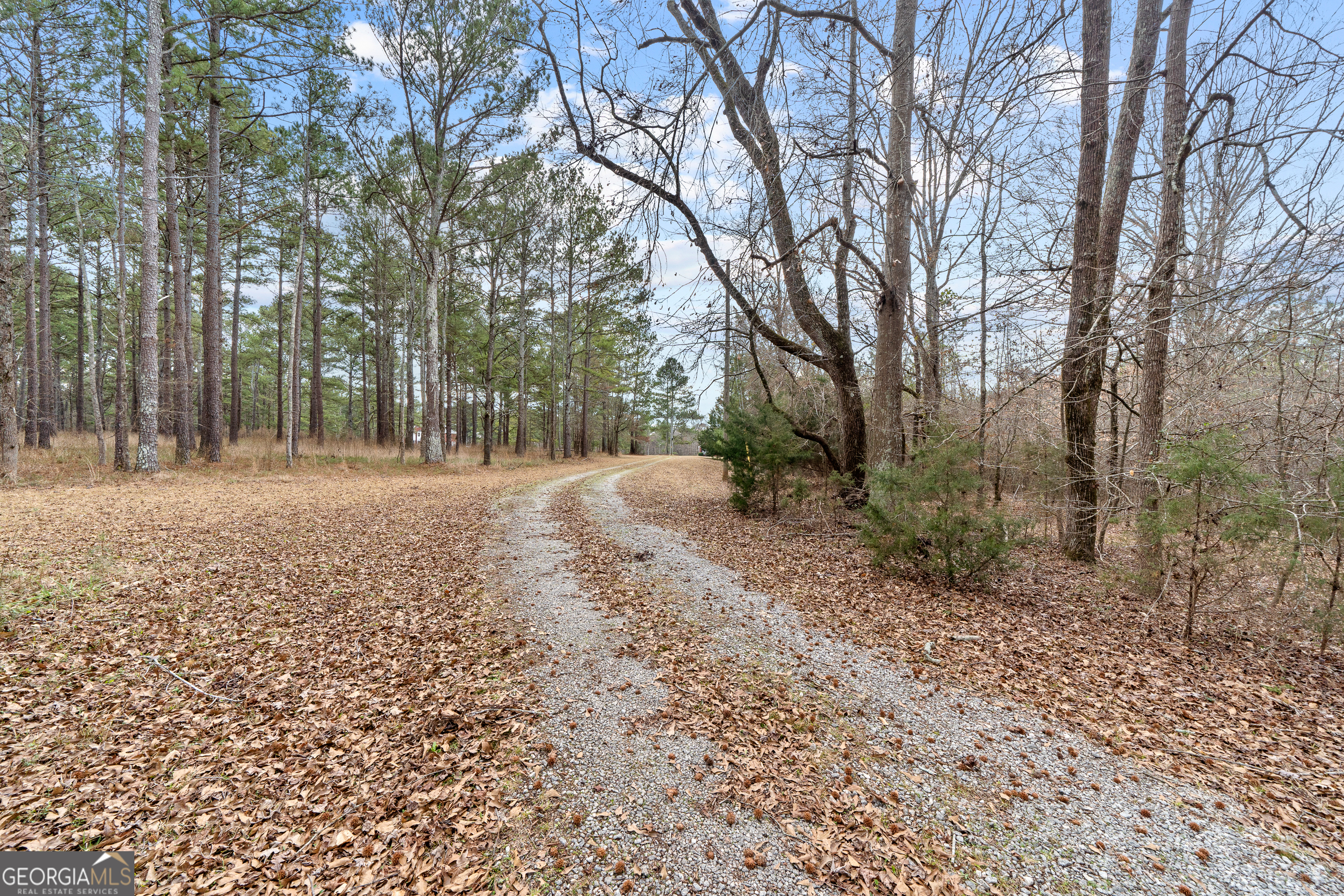 1041 Holstein Road Buckhead, GA 30625 - Photo 36 of 49 a backyard of a house with lots of green space