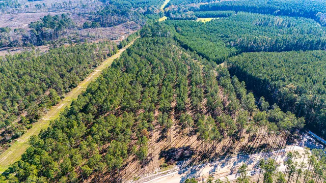 a view of wooden fence