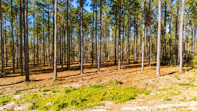 a view of swimming pool
