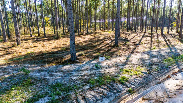 a view of outdoor space with trees