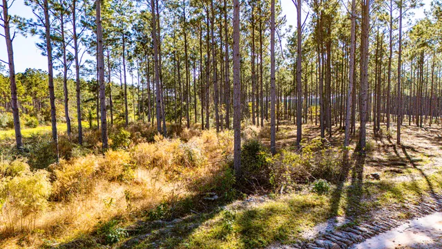 a view of a swimming pool with an outdoor space