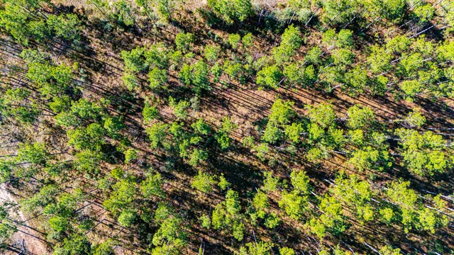 $329,000 | 141516 Big Buck Drive, Moscow, TX 75960