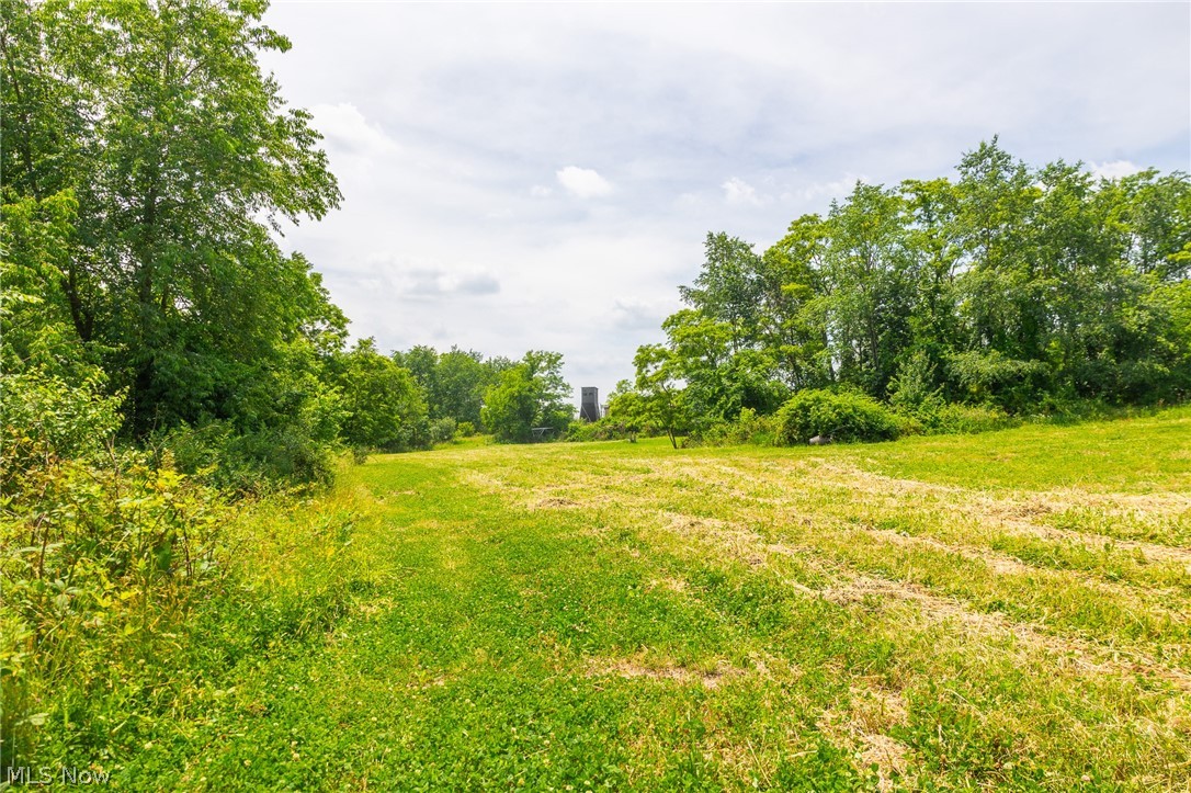 Henderson Ridge Rd Street St. Clairsville, OH 43950 - Photo 5 of 35