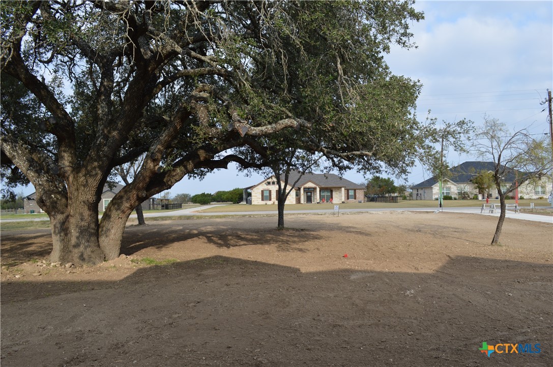 425 County Road 3152 Kempner, TX 76539 - Photo 44 of 48 a view of road and trees