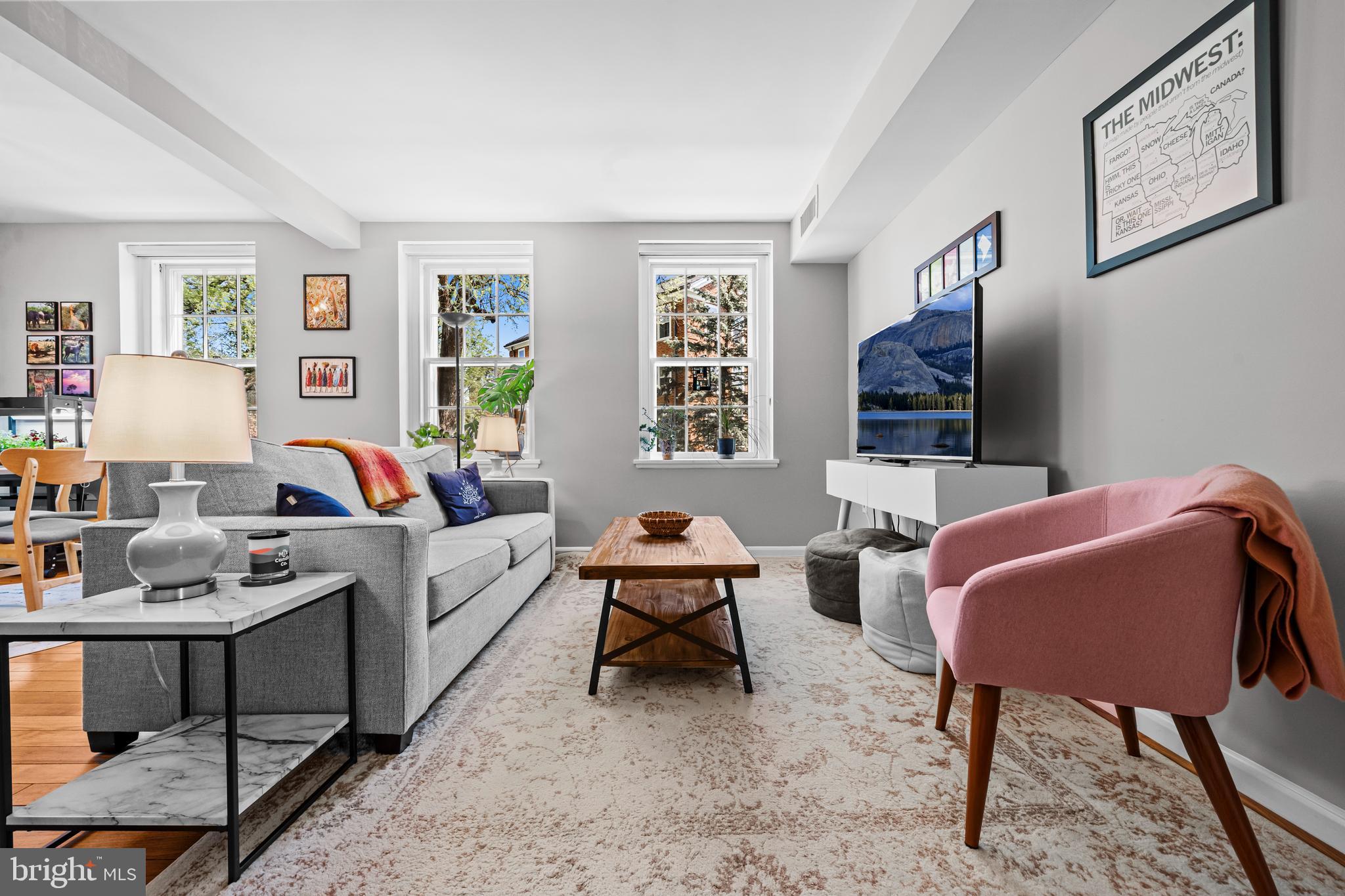 3861 Porter Street Northwest, Unit C285 Washington, DC 20016 - Photo 2 of 23 a living room with furniture a rug and a window