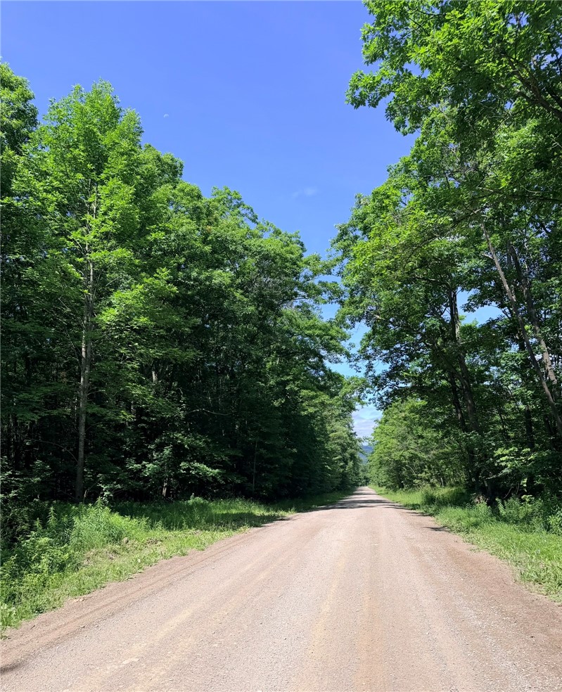 1667 Coon Hollow Road Orange, NY 14812 - Photo 23 of 41 Coon Hollow Road - maintained year round