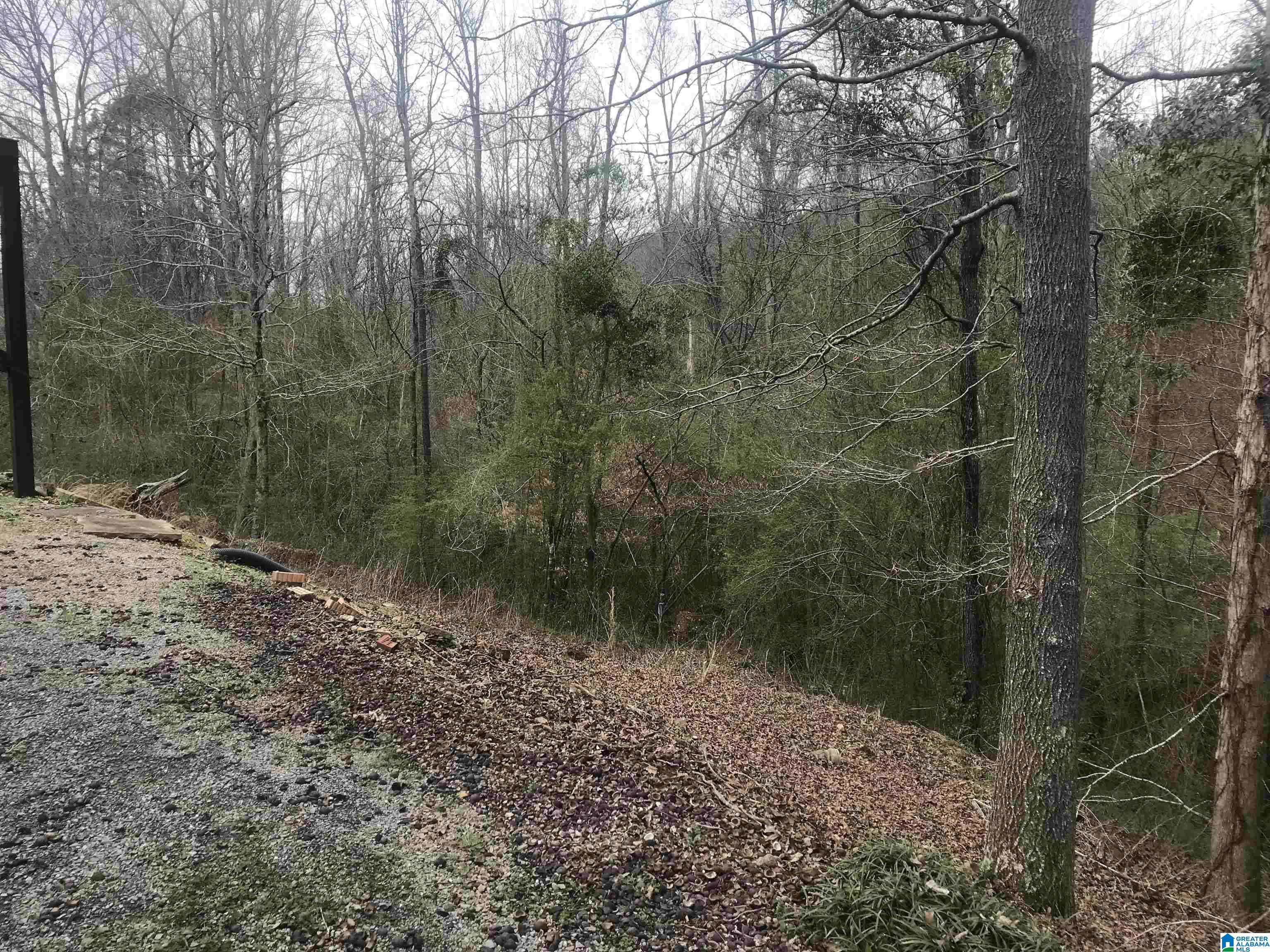 33195 Highway 79 Cleveland, AL 35049 - Photo 21 of 57