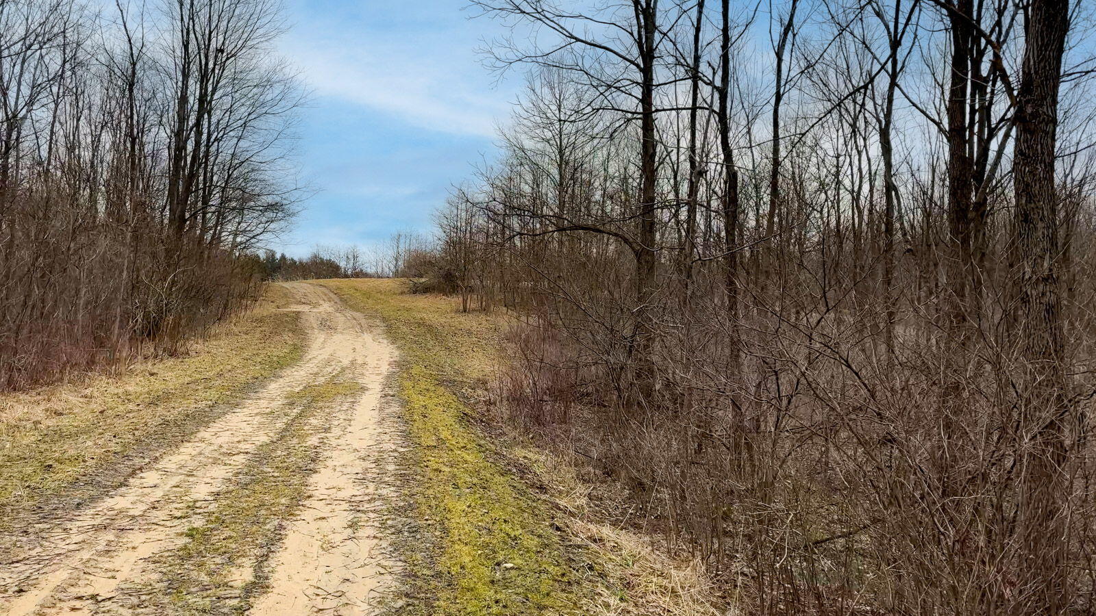 54659 Penn Road Cassopolis, MI 49031 - Photo 40 of 79 54689 Penn Road (77 of 89)