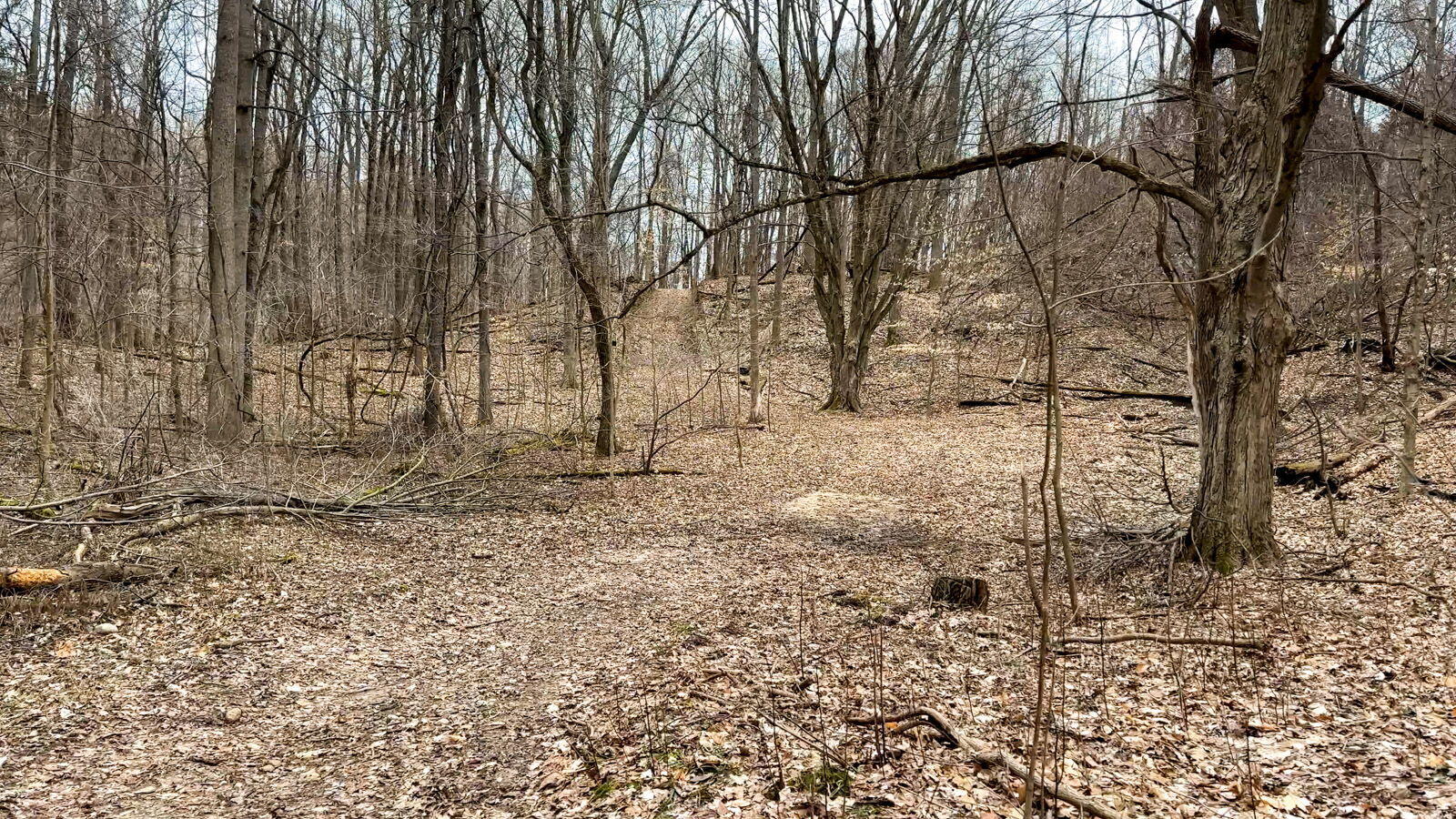 54659 Penn Road Cassopolis, MI 49031 - Photo 44 of 79 54689 Penn Road (82 of 89)
